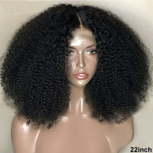 Brazilian Afro Kinky Curly 13x4 Lace Front Wig